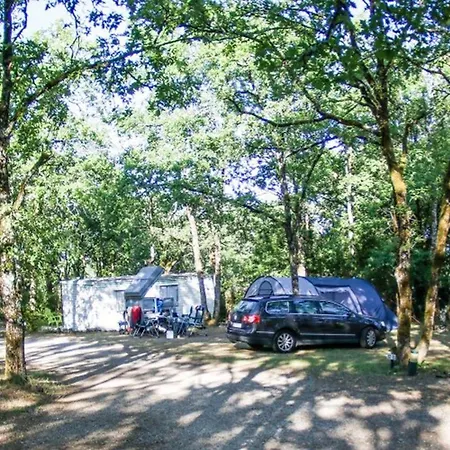Mobil Spacieux Avec Terrasse A - Api-1-52-1224 Campingplads Payrac
